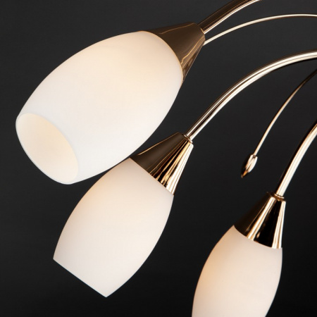 Потолочная люстра с плафонами 22080/9 золото Eurosvet Ginevra Потолочная люстра с плафонами 22080/9 золото Eurosvet Ginevra