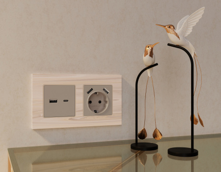 Лицевая панель ALFA (Серо-бежевый матовый) для розетки 2USB A+C QUANT AP3710