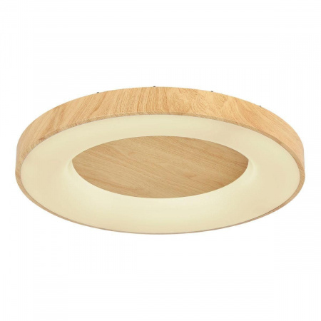 Потолочный светодиодный светильник Globo Jolli 41758-42