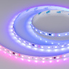 Arlight Лента SPI-B60-10mm 24V RGB-PX6-BPT (12 W/m, IP20, 5060, 5m) (бегущий огонь)