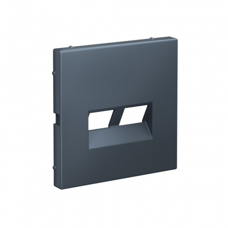 Systeme Electric ArtGallery Грифель Накладка двойная для информационных функций типа Keystone