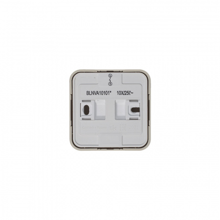 SE Blanca наруж Беж Выключатель 1-клавишный (cх.1) изолир. пластина 10А, 250B