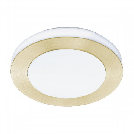 Потолочный светодиодный светильник Eglo LED Carpi 900369