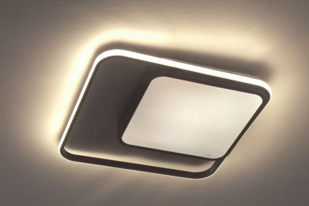 Потолочный светодиодный светильник Escada 10210/2LED