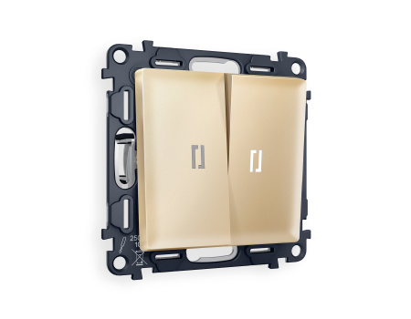 Комплект механизма 2-клавишного выключателя с подсветкой 5600K ALFA MA604015 Шампань QUANT