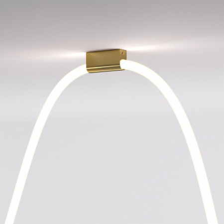 Накладные крепления для круглого гибкого неона Full light латунь FL 28100 Elektrostandard Full light a070758 Накладные крепления для круглого гибкого неона Full light латунь FL 28100 Elektrostandard Full light a070758