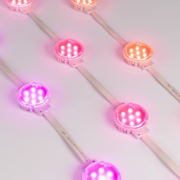 Светодиодный модуль Arlight SPI-F7-D50 24V RGB-RAM-Auto 036826 Светодиодный модуль Arlight SPI-F7-D50 24V RGB-RAM-Auto 036826