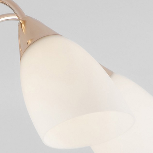 Потолочная люстра с плафонами 30149/5 золото Eurosvet Ellene Потолочная люстра с плафонами 30149/5 золото Eurosvet Ellene