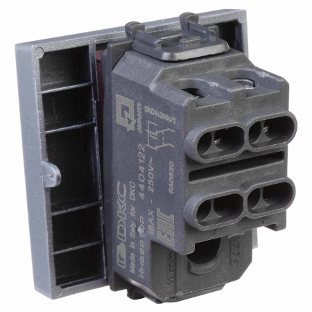 DKC Avanti Закаленная сталь Инвертор одноклавишный 2 модуля