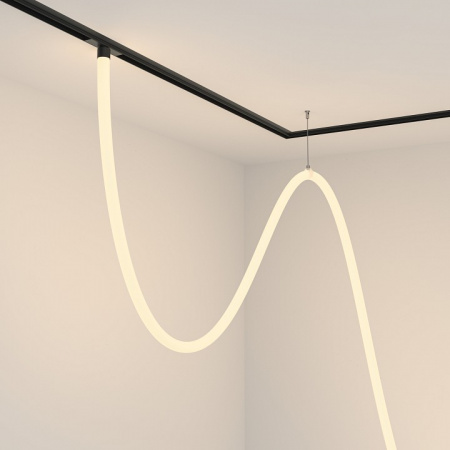 Трековый подвесной светильник Technical TR101-2-100W3K-B Maytoni Tau