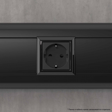 DKC Avanti Черный матовый Розетка 2P+E со шторками 2 модуля