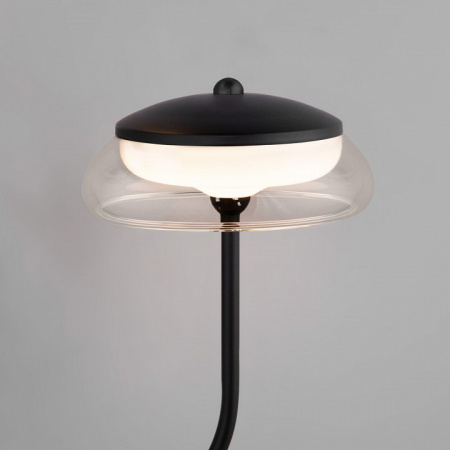 Настенный светодиодный светильник со стеклянными плафонами 50388/2 LED черный Eurosvet Fungo