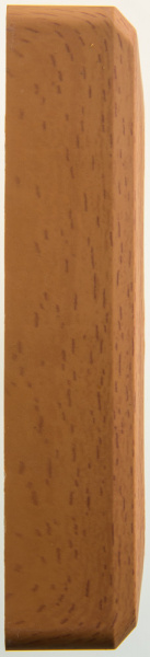 SE Этюд наруж Бук Розетка 3-ая б/з без шторок 16А 250B