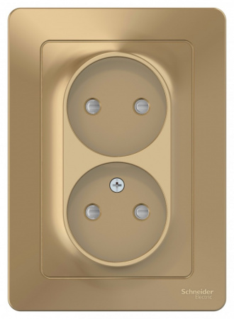 SE Blanca внутр Титан Розетка 2-ая б/з со шторками, 16А, 250В