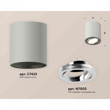 Комплект накладного светильника Ambrella light Techno Spot XS7423021 SGR/PSL серый песок/серебро полированное (C7423, N7003)