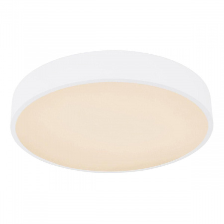 Потолочный светодиодный светильник Globo Leanara 41756-24W