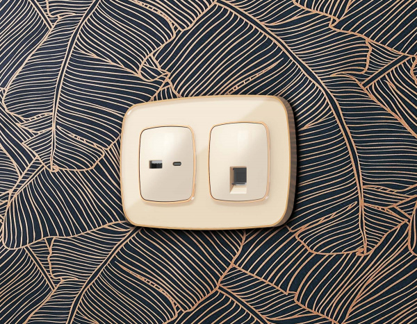 Лицевая панель OMEGA (Бежевый глянец) для розетки 2USB тип A+C QUANT OP3110