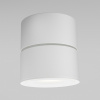 Потолочный светильник Ceiling & Wall C084CL-15W3K-D-W Maytoni Triac