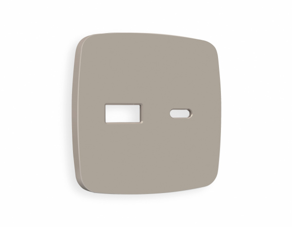 Лицевая панель OMEGA (Серо-бежевый матовый) для розетки 2USB A+C QUANT OP3710