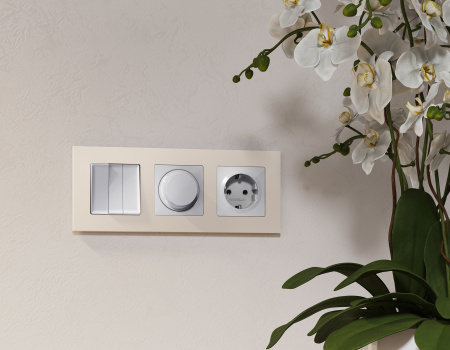 Лицевая панель ALFA (Серебро глянец) для светорегулятора универсального QUANT AP4055