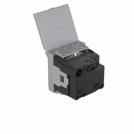 DKC Avanti Закаленная сталь Розетка с крышкой 2P+E со шторками 2 модуля