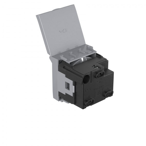 DKC Avanti Закаленная сталь Розетка с крышкой 2P+E со шторками 2 модуля