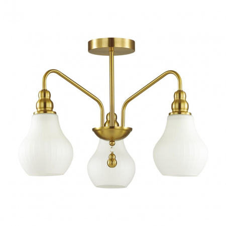 Потолочная люстра Lumion Moderni Eleonora 4562/3C