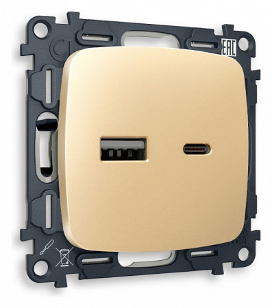 Комплект механизма розетки OMEGA MO611010 Шампань 2USB A+C 20W быстрая зарядка QUANT