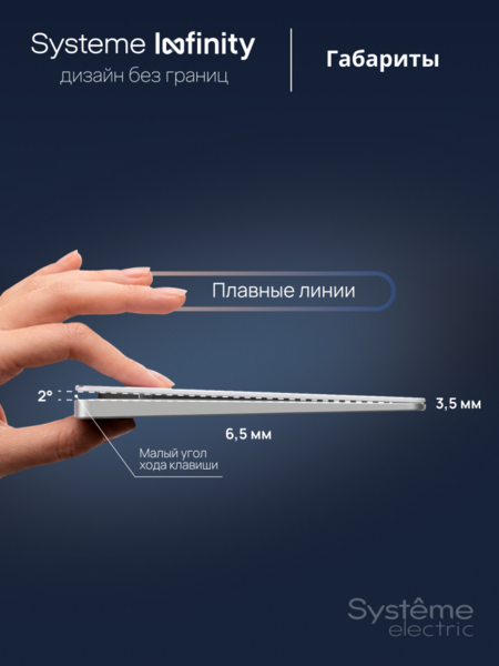 Systeme Electric Systeme Infinity Стальное небо Выключатель с самовозвратом 2-клавишный, 10А