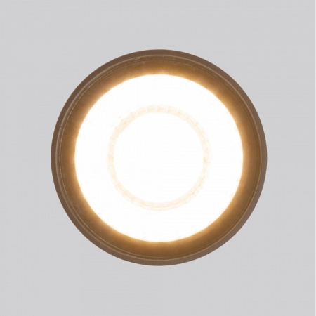 Накладной светодиодный влагозащищенный светильник IP54 35132/H черный Elektrostandard Light LED a056231