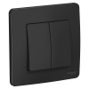 SE Blanca внутр Антрацит Выключатель 2-клавишный, 10А, 250B