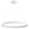 Подвесной светодиодный светильник Arte Lamp A6280SP-1WH