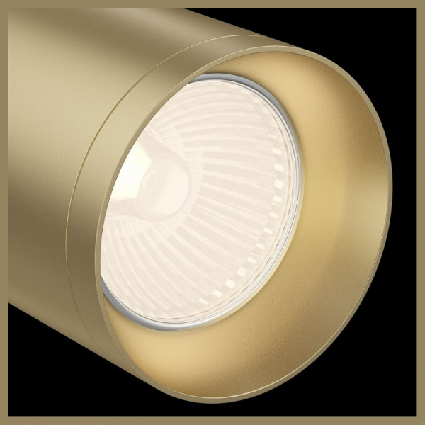 Потолочный светильник C017CW-01MG Maytoni Focus