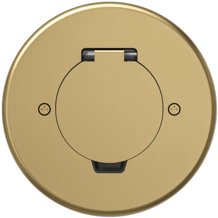 Лючок Surface 2 мод. (1 мод. 45х45 мм.), круглый, круглая крышка, золото, IP44, (с уст. набором)