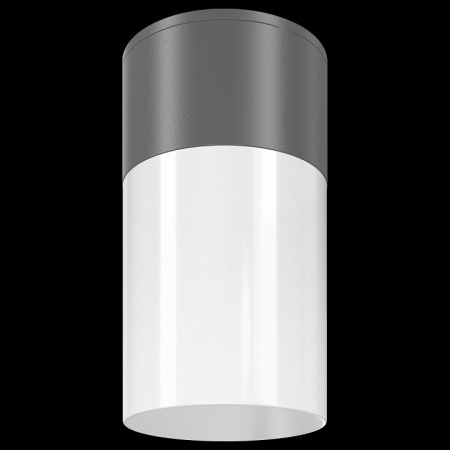 Потолочный светильник Outdoor O418CL-01GR Maytoni Willis