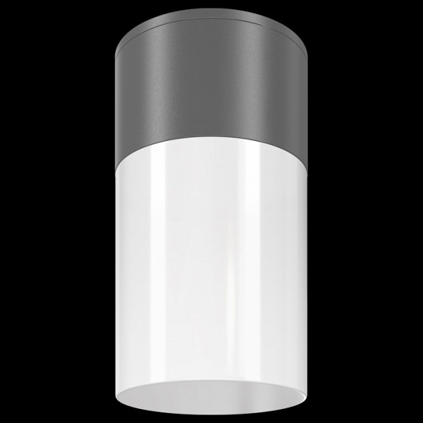 Потолочный светильник Outdoor O418CL-01GR Maytoni Willis