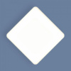 Накладной светодиодный светильник DLS043 Elektrostandard Gaze R a047941