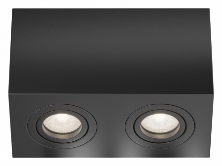 Потолочный светильник Technical C017CL-02B Maytoni Atom
