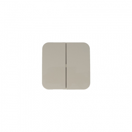 SE Blanca наруж Беж Выключатель 2-клавишный (cх.5) изолир. пластина 10А, 250B