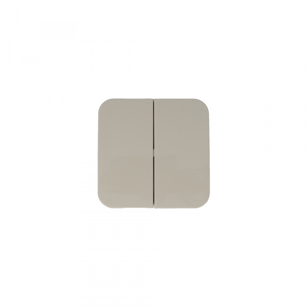 SE Blanca наруж Беж Выключатель 2-клавишный (cх.5) изолир. пластина 10А, 250B