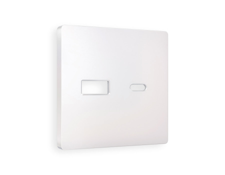 Лицевая панель ALFA (Жемчуг) для розетки 2USB тип A+C QUANT AP2110