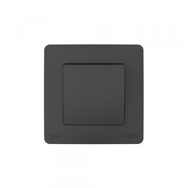 Systeme Electric Blanca внутр Антрацит Переключатель 1-клавишный IP44, 10A, 250В