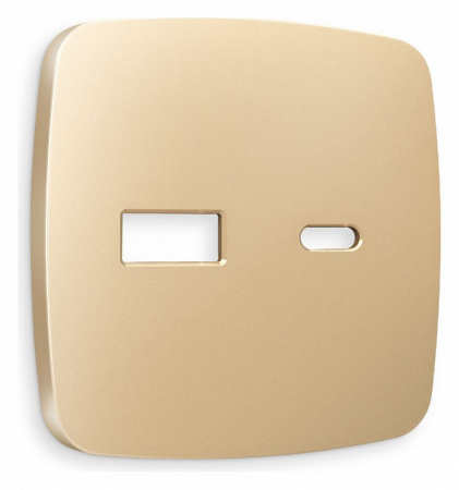 Лицевая панель OMEGA (Шампань) для розетки 2USB тип A+C QUANT OP6110