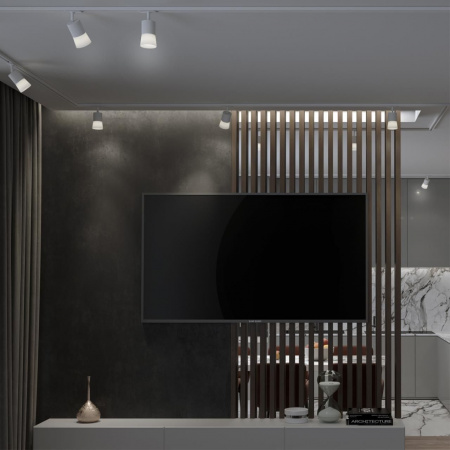 Трековый светильник Novotech Port Elina 370903