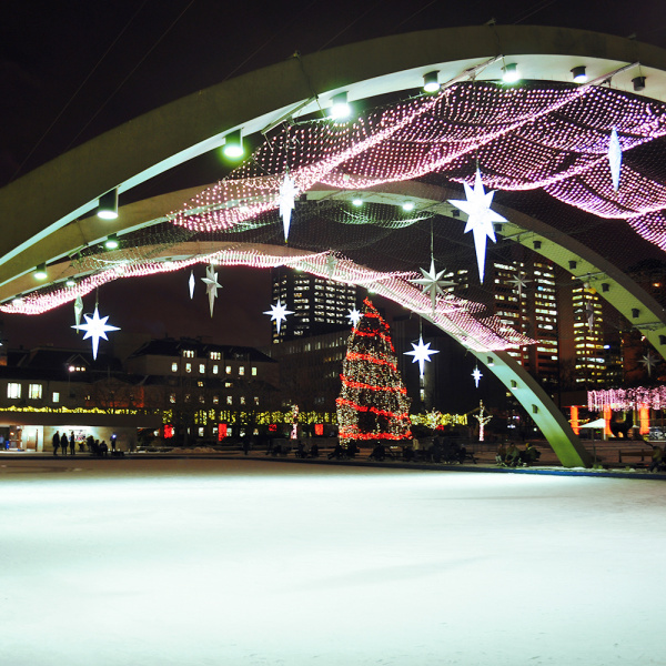 Arlight Светодиодная гирлянда ARD-NETLIGHT-CLASSIC-2000x1500-CLEAR-288LED Red (230V, 18W) (Ardecoled, IP65)