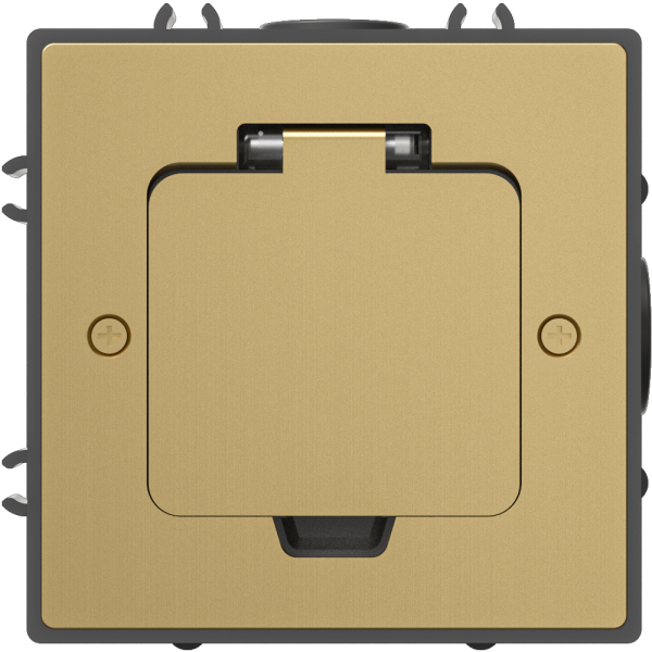 Лючок Surface 2 мод. (1 мод. 45х45 мм.), золото, IP44, (с уст. набором)