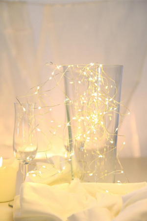 Светодиодная гирлянда Globo белая 230V 29950-50