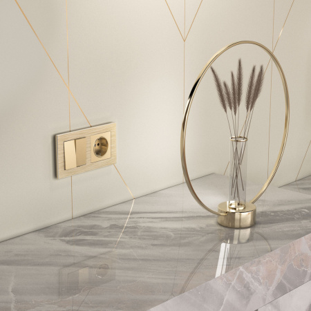 Розетка с заземлением и шторками (шампань) W1171111