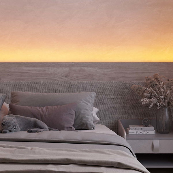 Arlight Лента RT-A240-10mm 24V Warm-MIX (20 W/m, IP20, 2835, 5m) (Изменяемая ЦТ)