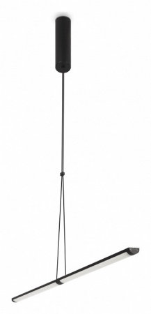 Подвесной светильник Maytoni P096PL-L11BK Maytoni Supersymmetry